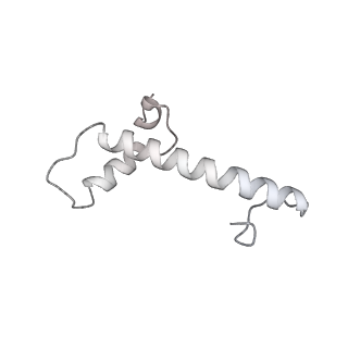 33436_7xsx_g_v1-2
RNA polymerase II elongation complex transcribing a nucleosome (EC49)