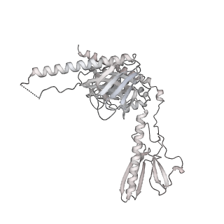 33436_7xsx_j_v1-2
RNA polymerase II elongation complex transcribing a nucleosome (EC49)