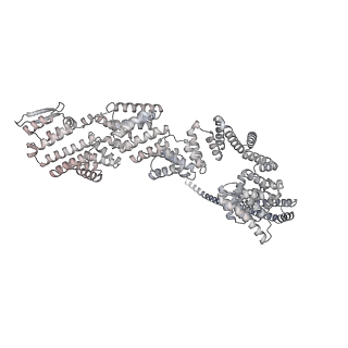 33436_7xsx_q_v1-2
RNA polymerase II elongation complex transcribing a nucleosome (EC49)