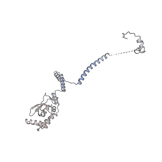 33436_7xsx_r_v1-2
RNA polymerase II elongation complex transcribing a nucleosome (EC49)