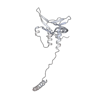 33436_7xsx_u_v1-2
RNA polymerase II elongation complex transcribing a nucleosome (EC49)