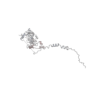 33436_7xsx_v_v1-2
RNA polymerase II elongation complex transcribing a nucleosome (EC49)