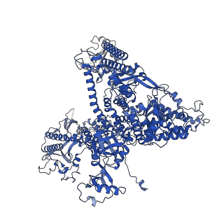 33437_7xsz_A_v1-2
RNA polymerase II elongation complex transcribing a nucleosome (EC115)