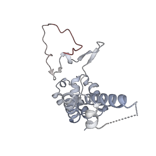 33437_7xsz_D_v1-2
RNA polymerase II elongation complex transcribing a nucleosome (EC115)