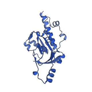 33437_7xsz_E_v1-2
RNA polymerase II elongation complex transcribing a nucleosome (EC115)