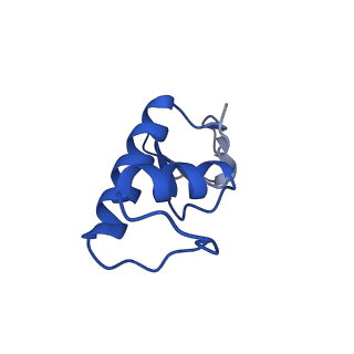 33437_7xsz_F_v1-2
RNA polymerase II elongation complex transcribing a nucleosome (EC115)