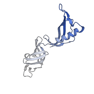 33437_7xsz_G_v1-2
RNA polymerase II elongation complex transcribing a nucleosome (EC115)