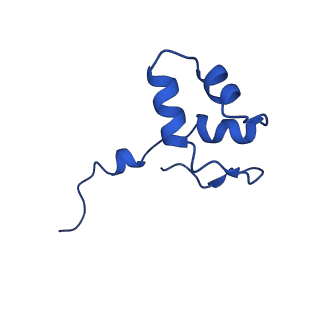 33437_7xsz_J_v1-2
RNA polymerase II elongation complex transcribing a nucleosome (EC115)