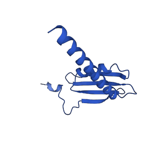 33437_7xsz_K_v1-2
RNA polymerase II elongation complex transcribing a nucleosome (EC115)