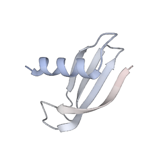 33437_7xsz_M_v1-2
RNA polymerase II elongation complex transcribing a nucleosome (EC115)