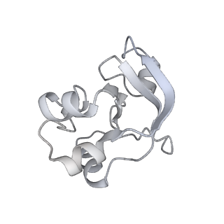 33437_7xsz_V_v1-2
RNA polymerase II elongation complex transcribing a nucleosome (EC115)