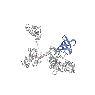 33437_7xsz_W_v1-2
RNA polymerase II elongation complex transcribing a nucleosome (EC115)
