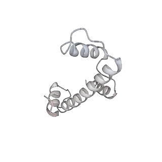33437_7xsz_a_v1-2
RNA polymerase II elongation complex transcribing a nucleosome (EC115)