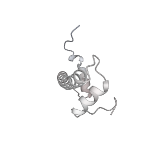 33437_7xsz_b_v1-2
RNA polymerase II elongation complex transcribing a nucleosome (EC115)