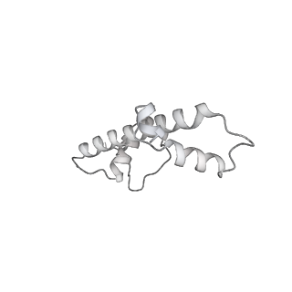 33437_7xsz_c_v1-2
RNA polymerase II elongation complex transcribing a nucleosome (EC115)