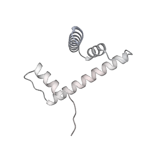 33437_7xsz_d_v1-2
RNA polymerase II elongation complex transcribing a nucleosome (EC115)