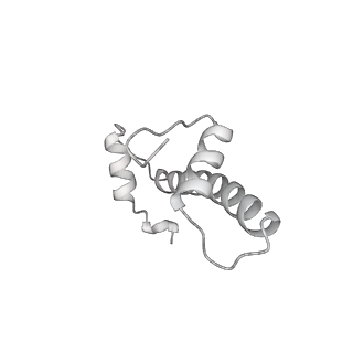 33437_7xsz_f_v1-2
RNA polymerase II elongation complex transcribing a nucleosome (EC115)