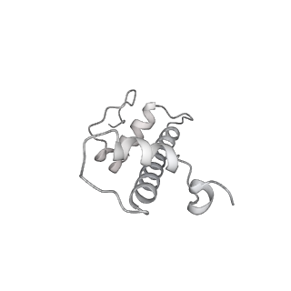 33437_7xsz_g_v1-2
RNA polymerase II elongation complex transcribing a nucleosome (EC115)