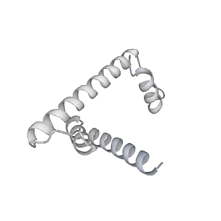 33437_7xsz_h_v1-2
RNA polymerase II elongation complex transcribing a nucleosome (EC115)