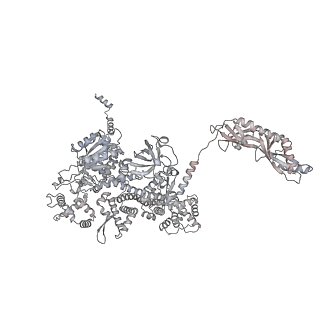 33437_7xsz_m_v1-2
RNA polymerase II elongation complex transcribing a nucleosome (EC115)