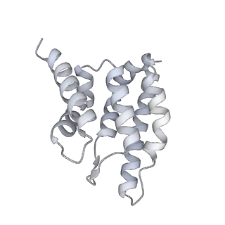 33437_7xsz_n_v1-2
RNA polymerase II elongation complex transcribing a nucleosome (EC115)
