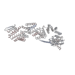 33437_7xsz_q_v1-2
RNA polymerase II elongation complex transcribing a nucleosome (EC115)