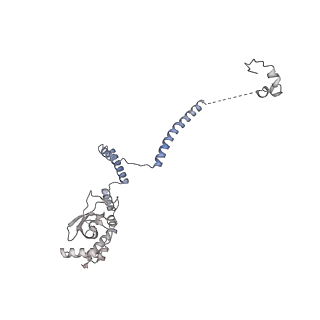 33437_7xsz_r_v1-2
RNA polymerase II elongation complex transcribing a nucleosome (EC115)
