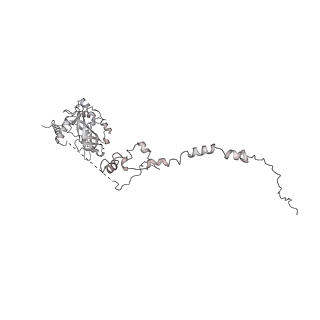 33437_7xsz_v_v1-2
RNA polymerase II elongation complex transcribing a nucleosome (EC115)