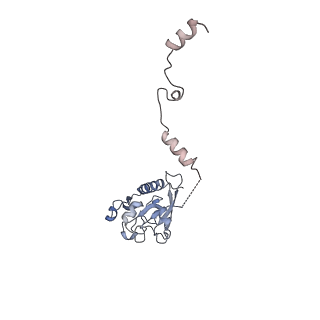 33437_7xsz_x_v1-2
RNA polymerase II elongation complex transcribing a nucleosome (EC115)