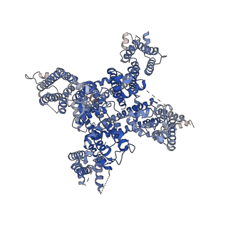 6770_5xsy_A_v1-1
Structure of the Nav1.4-beta1 complex from electric eel