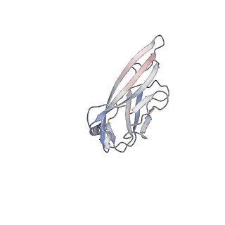 6770_5xsy_B_v1-1
Structure of the Nav1.4-beta1 complex from electric eel
