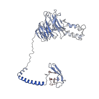 10617_6xt9_A_v1-1
Subunits BBS 1,4,8,9,18 of the human BBSome complex