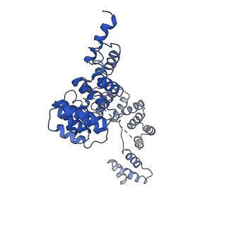 10617_6xt9_H_v1-1
Subunits BBS 1,4,8,9,18 of the human BBSome complex
