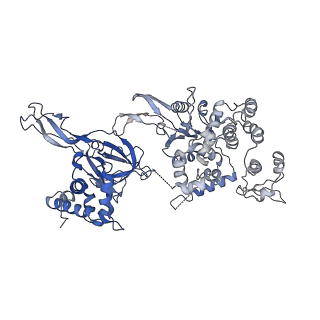 10619_6xtx_2_v1-2
CryoEM structure of human CMG bound to ATPgammaS and DNA