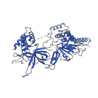10619_6xtx_3_v1-2
CryoEM structure of human CMG bound to ATPgammaS and DNA