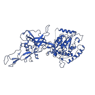 10619_6xtx_4_v1-2
CryoEM structure of human CMG bound to ATPgammaS and DNA