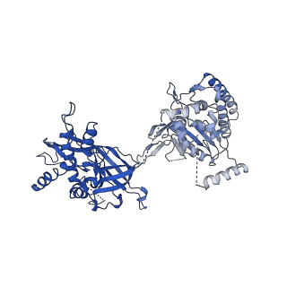10619_6xtx_5_v1-2
CryoEM structure of human CMG bound to ATPgammaS and DNA