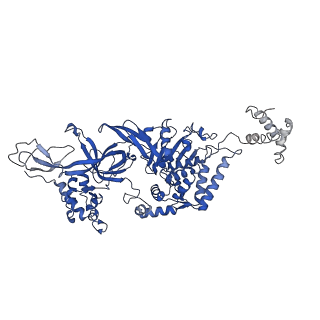 10619_6xtx_6_v1-2
CryoEM structure of human CMG bound to ATPgammaS and DNA