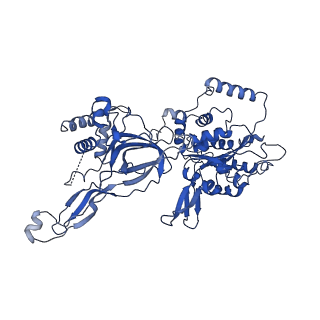 10619_6xtx_7_v1-2
CryoEM structure of human CMG bound to ATPgammaS and DNA