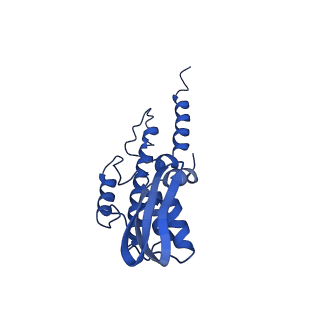 10619_6xtx_B_v1-2
CryoEM structure of human CMG bound to ATPgammaS and DNA
