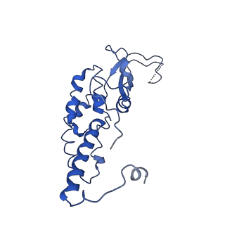 10619_6xtx_C_v1-2
CryoEM structure of human CMG bound to ATPgammaS and DNA