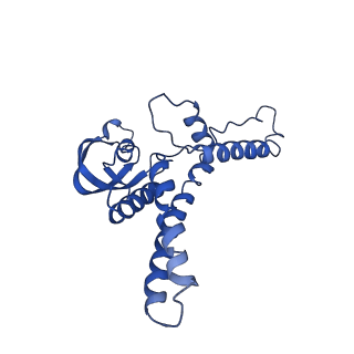 10619_6xtx_D_v1-2
CryoEM structure of human CMG bound to ATPgammaS and DNA