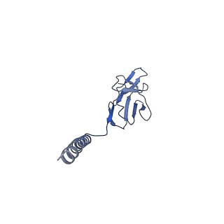 33440_7xt6_C_v1-0
Structure of a membrane protein M3
