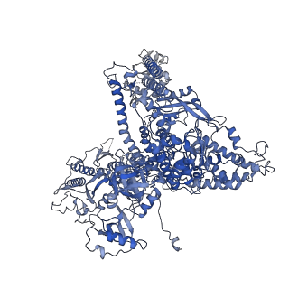 33441_7xt7_A_v1-0
RNA polymerase II elongation complex transcribing a nucleosome (EC49B)