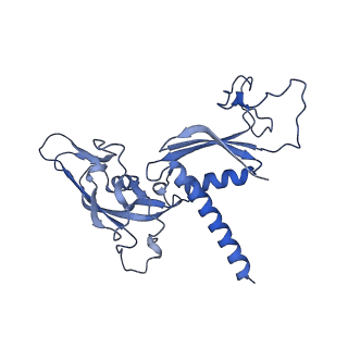 33441_7xt7_C_v1-0
RNA polymerase II elongation complex transcribing a nucleosome (EC49B)