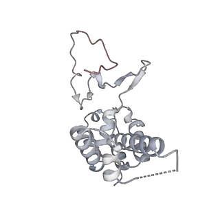 33441_7xt7_D_v1-0
RNA polymerase II elongation complex transcribing a nucleosome (EC49B)
