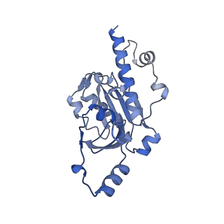 33441_7xt7_E_v1-0
RNA polymerase II elongation complex transcribing a nucleosome (EC49B)