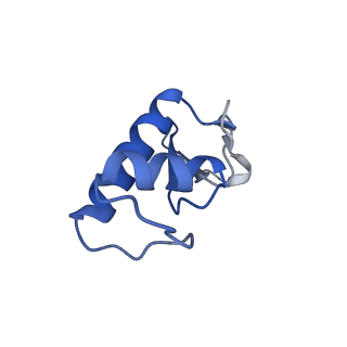 33441_7xt7_F_v1-0
RNA polymerase II elongation complex transcribing a nucleosome (EC49B)