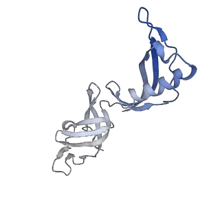 33441_7xt7_G_v1-0
RNA polymerase II elongation complex transcribing a nucleosome (EC49B)
