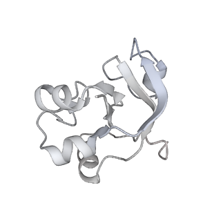 33441_7xt7_V_v1-0
RNA polymerase II elongation complex transcribing a nucleosome (EC49B)